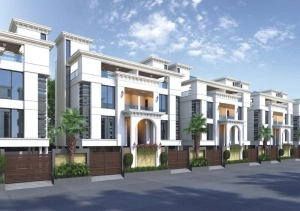 Western 7 Seas project gallery view 3